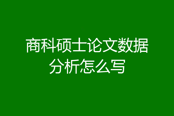 商科硕士论文数据分析怎么写