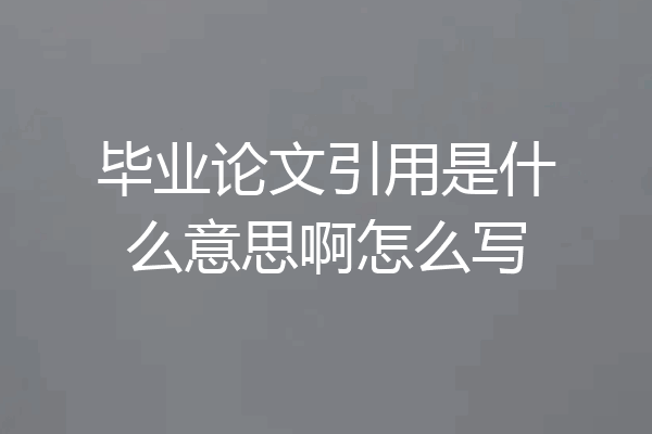 毕业论文引用是什么意思啊怎么写