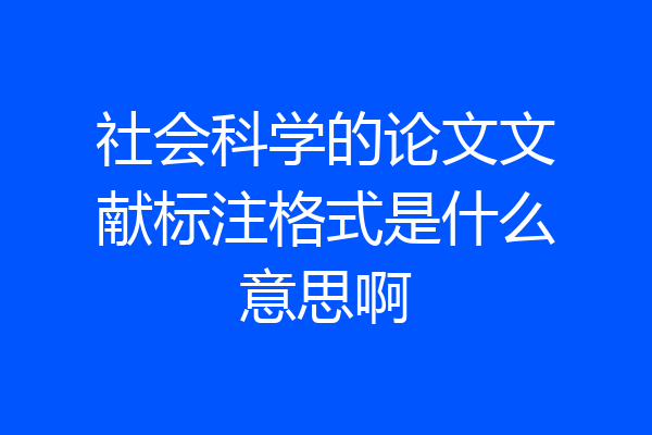 社会科学的论文文献标注格式是什么意思啊