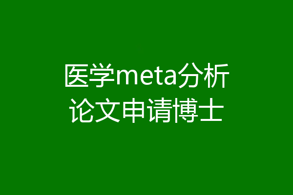 医学meta分析论文申请博士