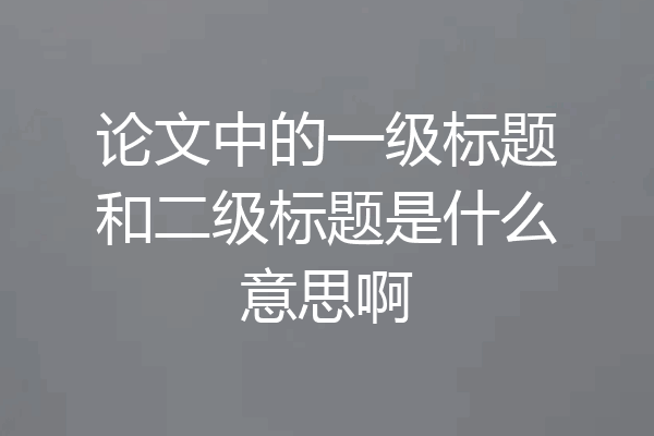 论文中的一级标题和二级标题是什么意思啊