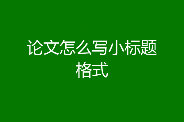 论文怎么写小标题格式