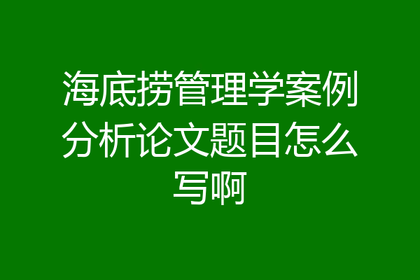 海底捞管理学案例分析论文题目怎么写啊