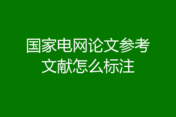 国家电网论文参考文献怎么标注