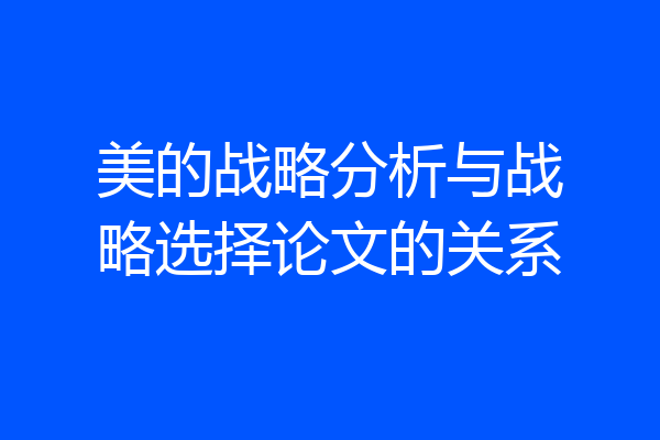 美的战略分析与战略选择论文的关系