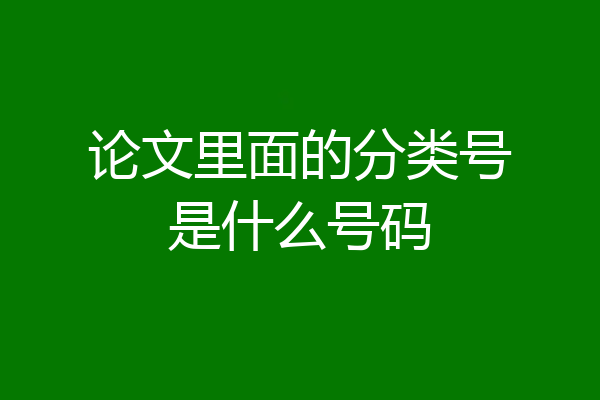 论文里面的分类号是什么号码