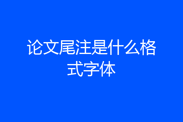论文尾注是什么格式字体