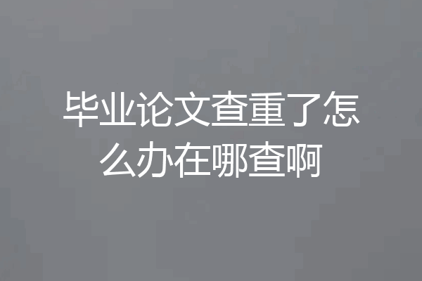 毕业论文查重了怎么办在哪查啊