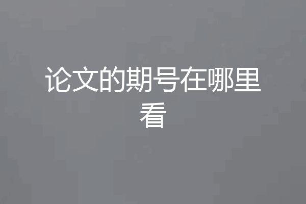 论文的期号在哪里看