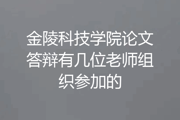 金陵科技学院论文答辩有几位老师组织参加的