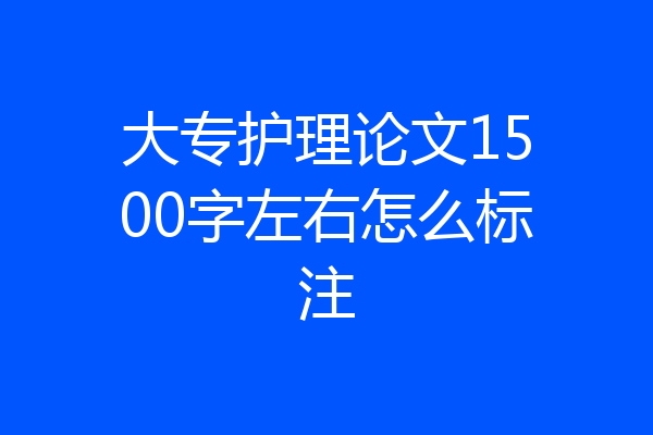 大专护理论文1500字左右怎么标注