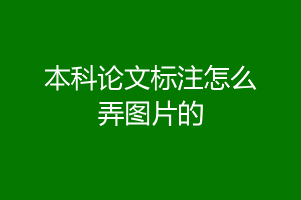 本科论文标注怎么弄图片的