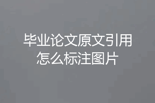 毕业论文原文引用怎么标注图片