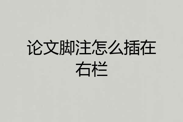 论文脚注怎么插在右栏