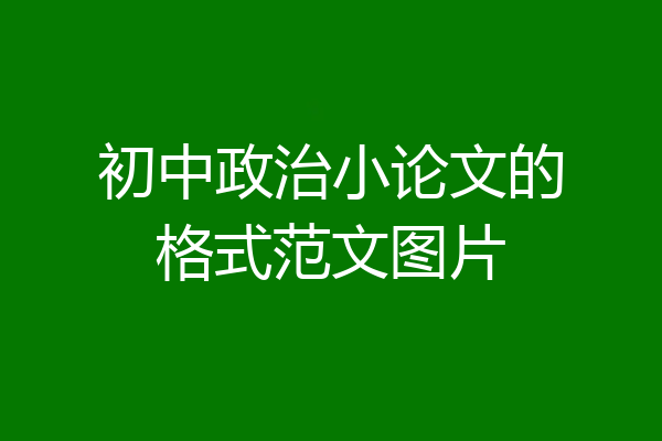 初中政治小论文的格式范文图片