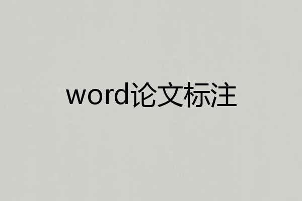 word论文标注