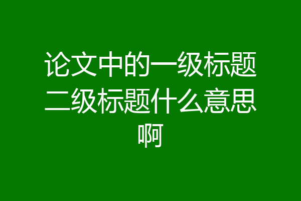论文中的一级标题二级标题什么意思啊