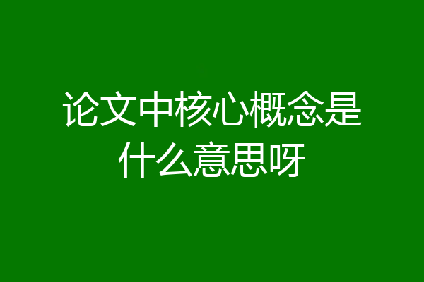 论文中核心概念是什么意思呀