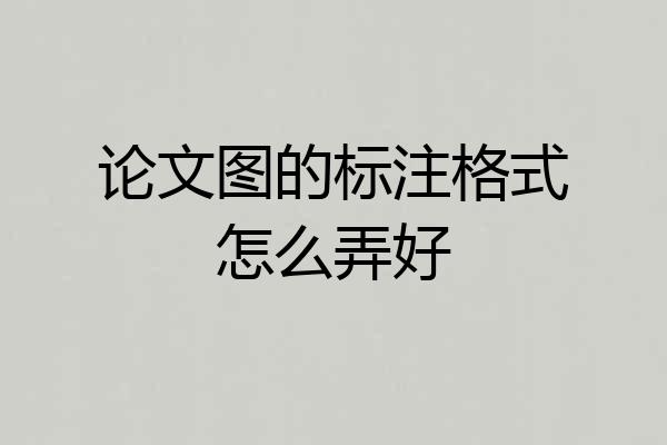 论文图的标注格式怎么弄好