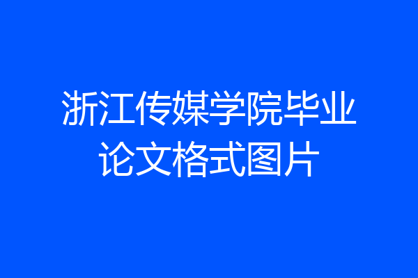 浙江传媒学院毕业论文格式图片