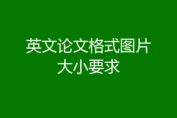 英文论文格式图片大小要求