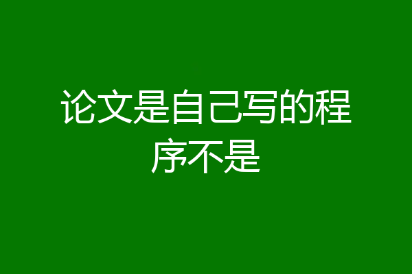 论文是自己写的程序不是