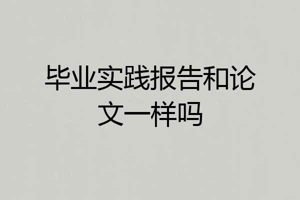 毕业实践报告和论文一样吗