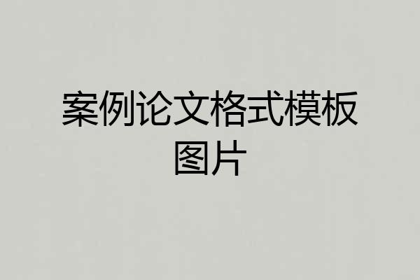 案例论文格式模板图片