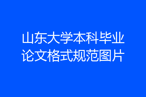 山东大学本科毕业论文格式规范图片