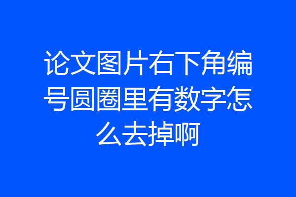 论文图片右下角编号圆圈里有数字怎么去掉啊