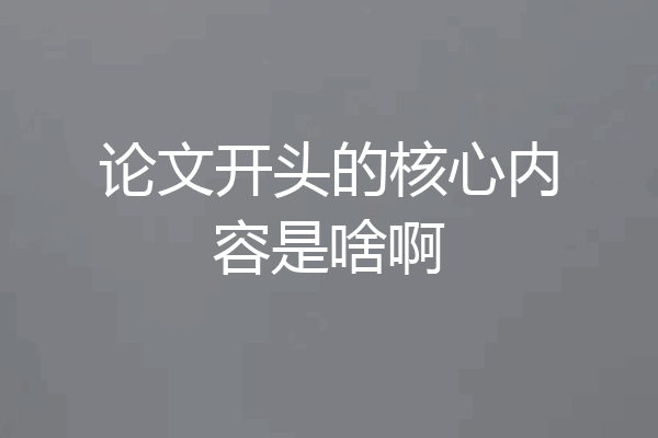 论文开头的核心内容是啥啊