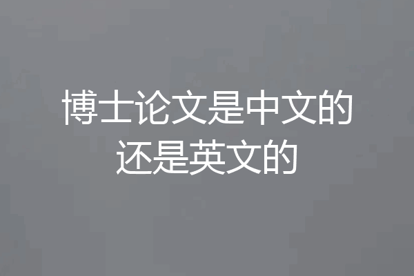 博士论文是中文的还是英文的