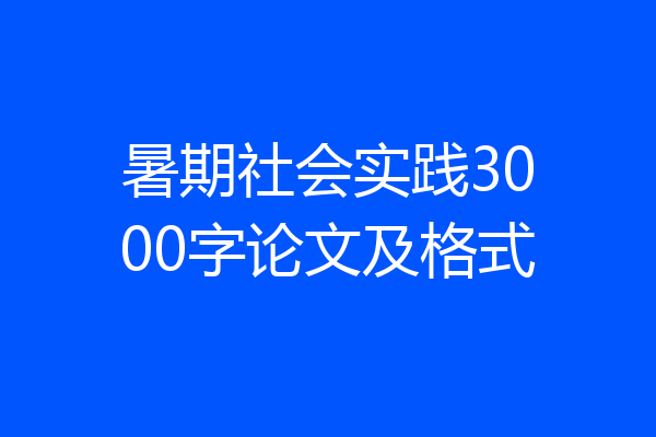 暑期社会实践3000字论文及格式