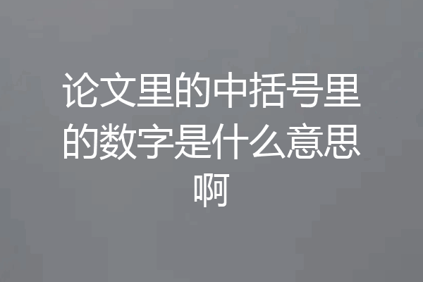 论文里的中括号里的数字是什么意思啊