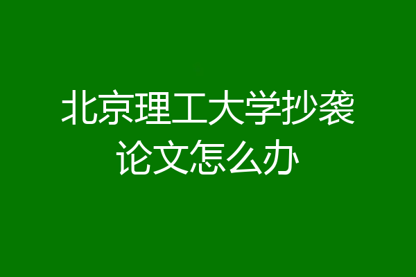 北京理工大学抄袭论文怎么办