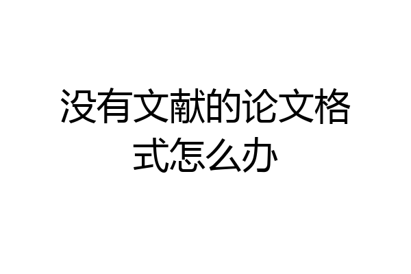 没有文献的论文格式怎么办
