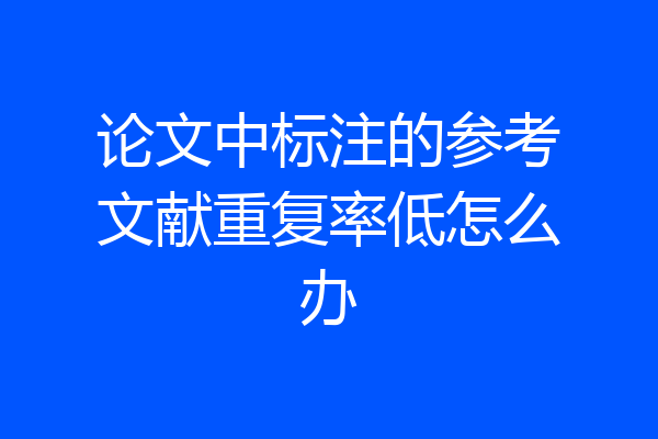 论文中标注的参考文献重复率低怎么办