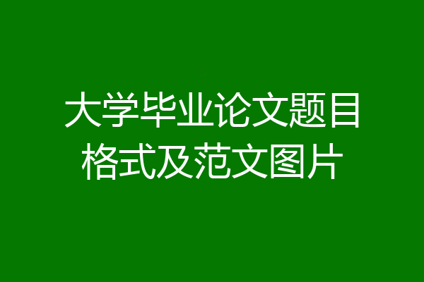 大学毕业论文题目格式及范文图片