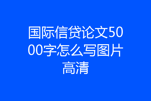 国际信贷论文5000字怎么写图片高清