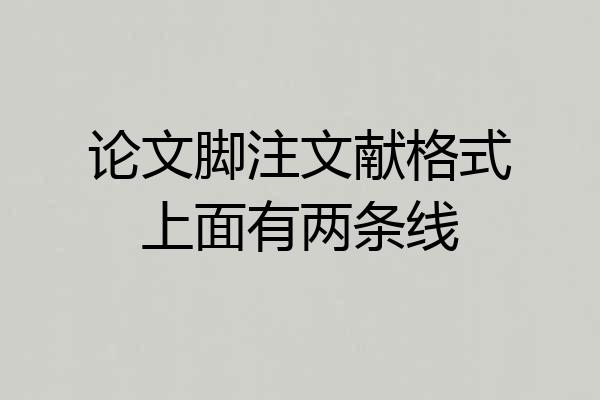 论文脚注文献格式上面有两条线