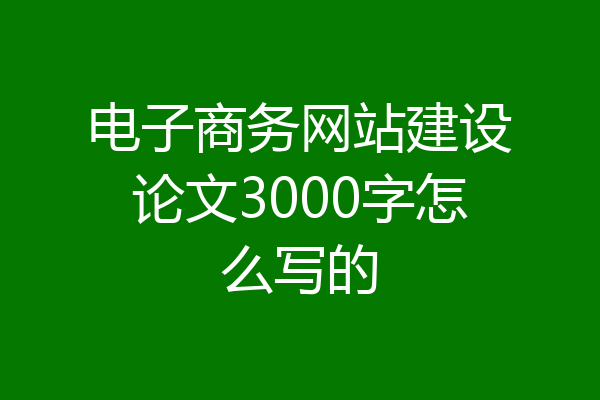 电子商务网站建设论文3000字怎么写的
