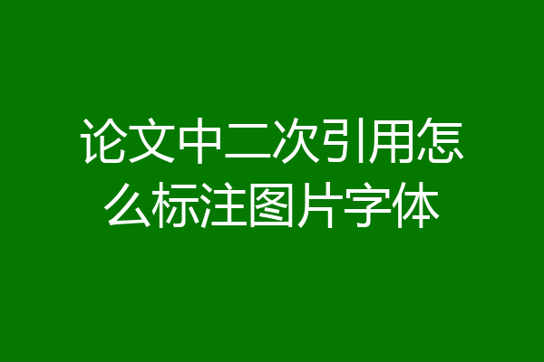 论文中二次引用怎么标注图片字体