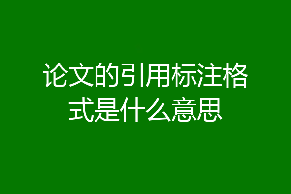 论文的引用标注格式是什么意思