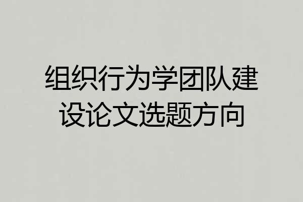 组织行为学团队建设论文选题方向