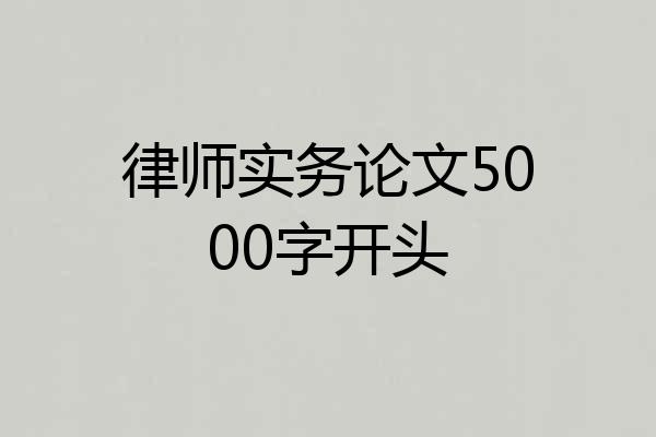 律师实务论文5000字开头