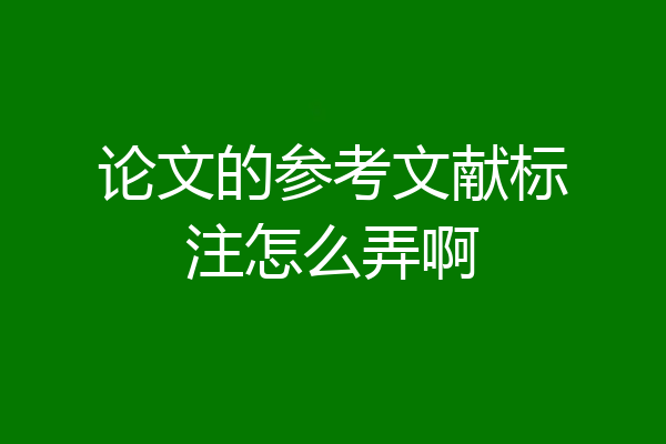 论文的参考文献标注怎么弄啊