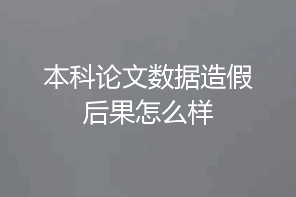 本科论文数据造假后果怎么样