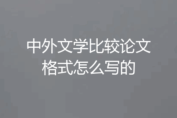 中外文学比较论文格式怎么写的
