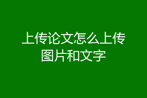 上传论文怎么上传图片和文字