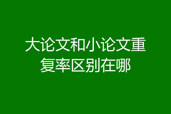 大论文和小论文重复率区别在哪
